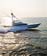 img/SB8hi-res/Shark Byte-13.jpg